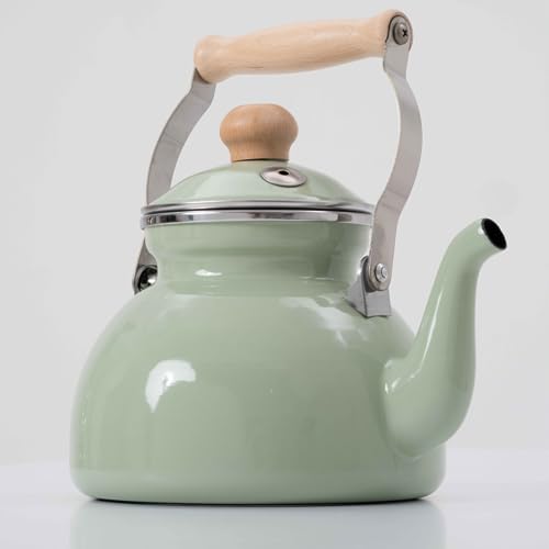 English Home Turkish Teapot, 2.4 Liter Capacity, Induction Hob Kettle, Suitable For Tea Bags And Loose Leaf Tea, Stove Top Kettle with Wooden Handle, Enamel Coated Vintage Teapot, Mint